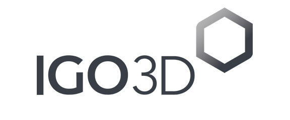 Logo IGO 3D